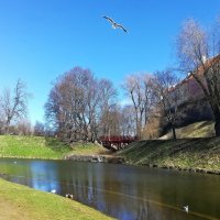 Тоомпарк – парк и пруд Шнелли, Таллин :: veera v