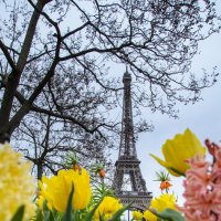 Париж весной :: Наталия Л.