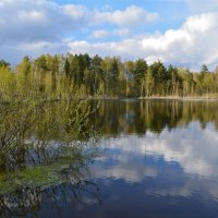 Весна на озере :: Larisa Simonenkova