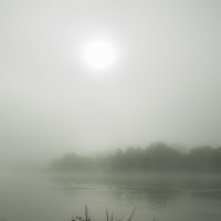 туман на Сосновом озере :: Ларико Ильющенко