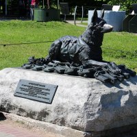 памятник фронтовой собаке :: Владимир Холодницкий