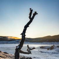 Первый солнца луч :: Ник Васильев