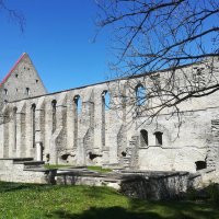 Древние руины монастыря Святой Бригитты (Таллин) :: veera v