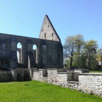 По древним руинам монастыря Святой Бригитты (Таллин) :: veera v