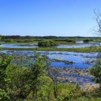 водная кольцевая :: оксана 