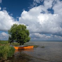 У озера :: Владимир Кириченко  wlad113