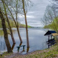 Слегка подтопленный берег :: Сергей Тарабара