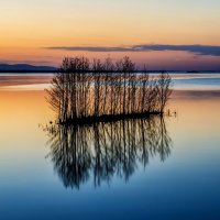 summer quiet evening at the lake :: Dmitry Ozersky