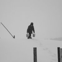 Зимой по водичку в колодец... :: Светлана Рябова-Шатунова