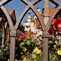 Ротенбург на Таубере, красив в цветах. :: backareva.irina Бакарева