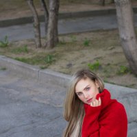 Красный бархат :: Анастасия Сапронова