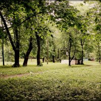 В старом парке. :: Любовь 