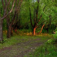 Последние лучи солнца :: Марк Э