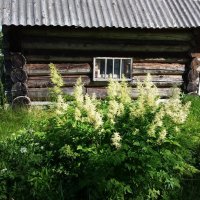 БАНЯ   В   ДЕРЕВНЕ :: Виктор Елисеев