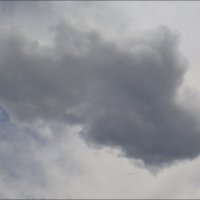 Грозовое облако :: Нина Корешкова