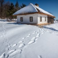 ... :: Слава Украине