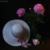Сезон белой шляпки :: Nina Yudicheva