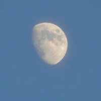 Moon :: Ivan Mozhar