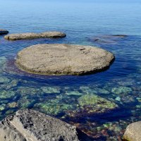 "Круги" на воде :: Анатолий Чикчирный