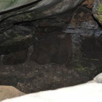 Светящийся мох в пещере. :: Лариса Вишневская