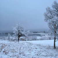 снег :: Ирина Мозерова