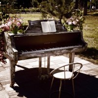 Старый рояль... :: ирина 