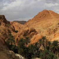 Оазис в Сахаре :: Лана Lana