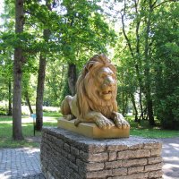 Лев в парке Левенру :: veera v