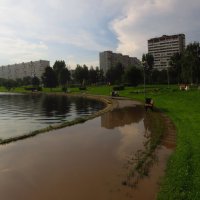 Гольяновский пруд и его небольшой филиал, или Раскинулось море ширОко :: Андрей Лукьянов