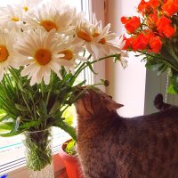 Проша - любитель цветов... :: Генрих 