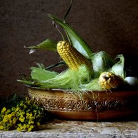 Пижма и кукуруза :: Лидия Суюрова