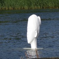 скульптура на воде :: Елена 