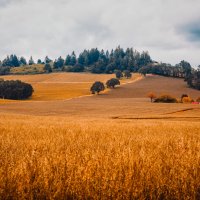 Portland. Oregon. USA :: Andy Zav