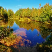 лесной пруд :: Владимир 