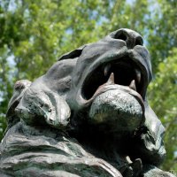 Фрагмент памятника "Одесские львы" Городского парка :: Наталья Каракуца