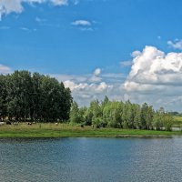 Сельский пейзаж :: Дмитрий Конев