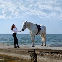 Фотосессия с лошадьми :: Дмитрий Конев