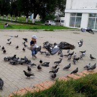 пацан и голуби :: Владимир 