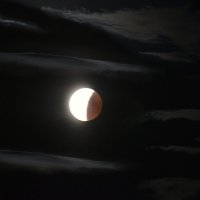 Кусочек лунного затмения. :: Татьяна Глинская