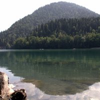 озеро Рица :: Антонина Владимировна Завальнюк