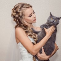 кот невесты :: Ольга Кошевая