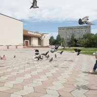 Летите голуби, летите! :: Светлана Бурлина