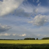 Небо :: Роман Пацкевич