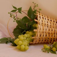 корзина с виноградом :: Татьяна 