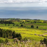 Azores 2018 Sao Miguel 27 :: Arturs Ancans