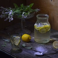 Домашний лимонад. :: Оксана Евкодимова