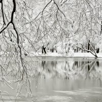 Серебряной краской рисует зима ... :: Татьяна Каневская