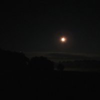 Луна, туман и восход Марса :: Светлана 
