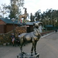 Зоопарк в Боровом :: Вячеслав & Алёна Макаренины