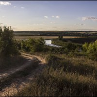 Дорога к р.Миус :: Владимир Стаценко